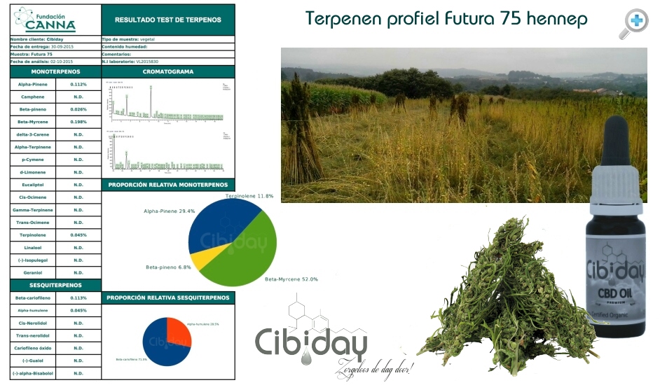 Labtest Terpenen Futura 75 Hennep